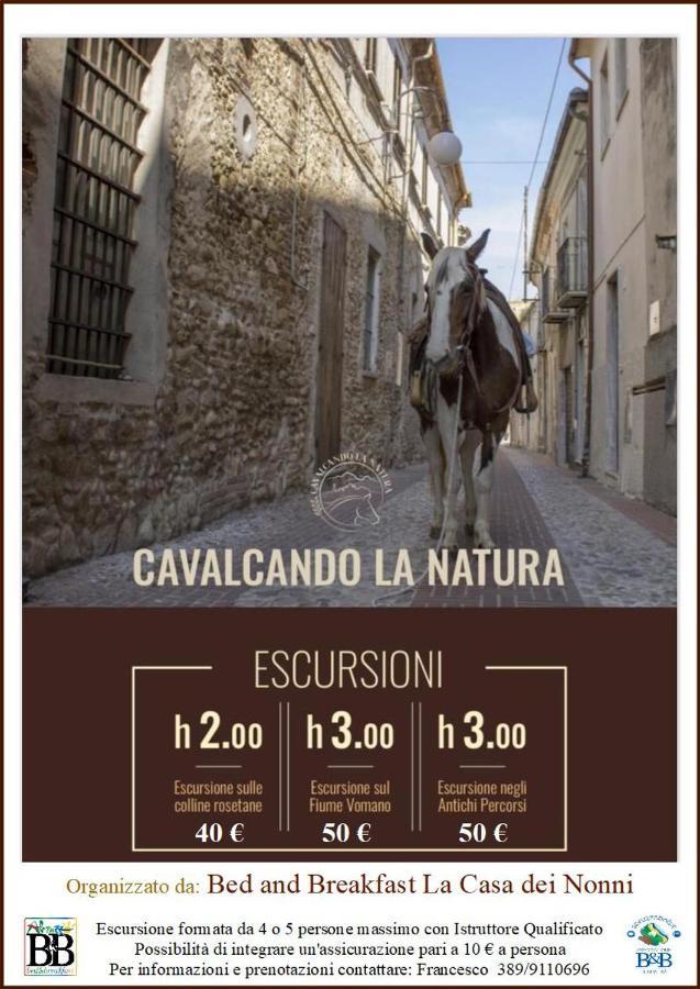 Bed And Breakfast La Casa Dei Nonni Roseto Degli Abruzzi Eksteriør billede
